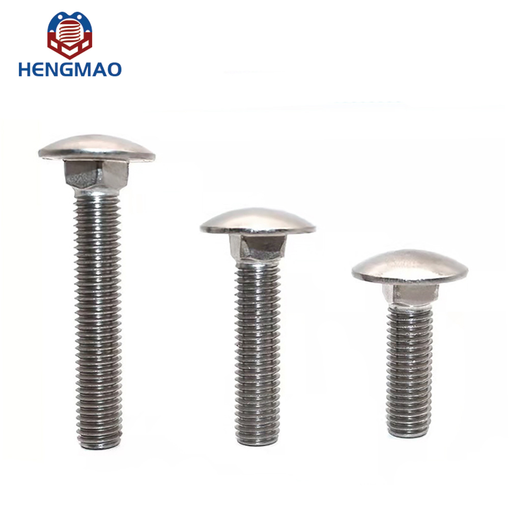 Carriage Bolt With Stainless Steel